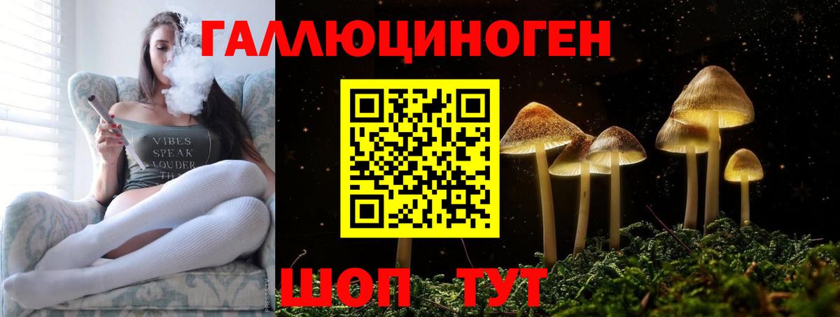 Сланцы  наркота  Вход с VPN  Галлюциногенные грибы Magic Shrooms 
